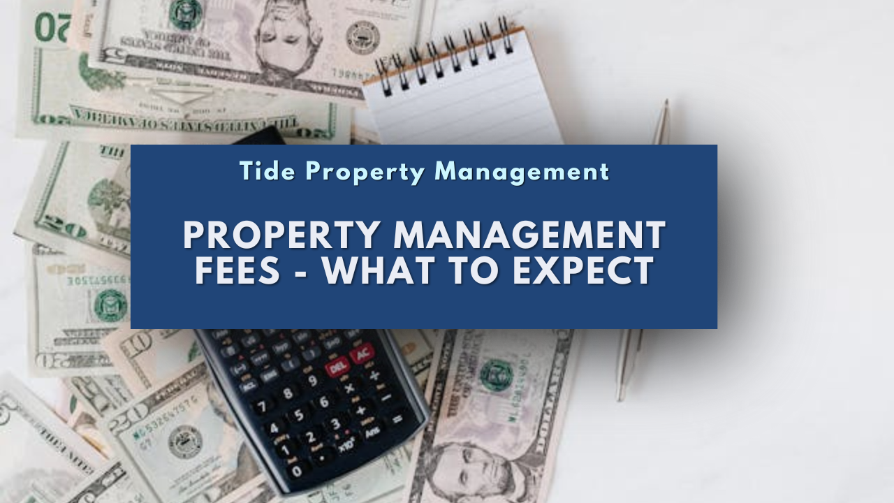 Property Management Fees - What to Expect